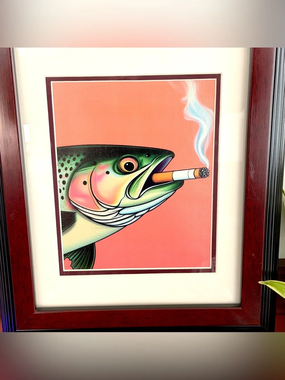 N/A trout fish